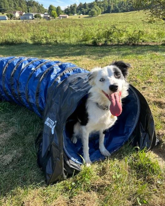 Heavy Duty PVC Tunnel with Sandbags (10 ft)
