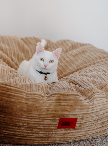 Cordaroy's  Inch Forever Dog Beds (Waterproof) - Terry Corduroy
