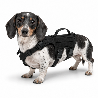 K9R - D5 MOLLE Light Harness