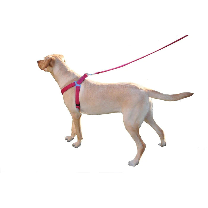 Dogline Comfort Microfiber Flat Step-In Harness (1" / 3/8")