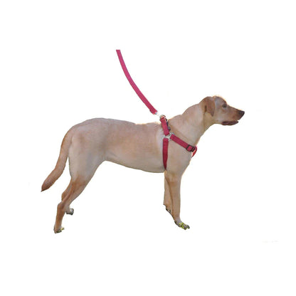 Dogline Comfort Microfiber Flat Step-In Harness (1" / 3/8")