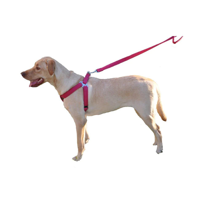 Dogline Comfort Microfiber Flat Step-In Harness (1" / 3/8")