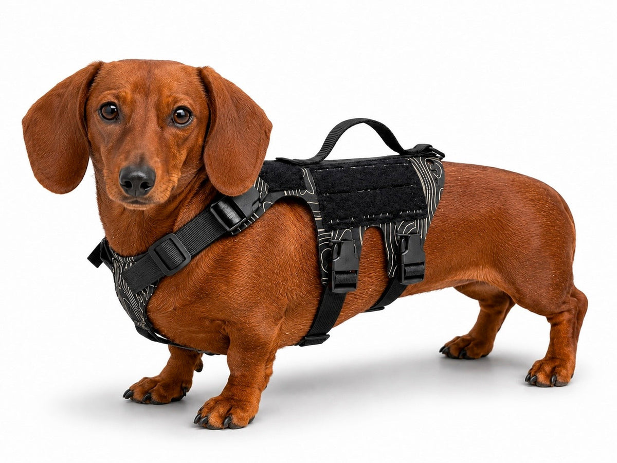 K9R - D5 MOLLE Light Harness