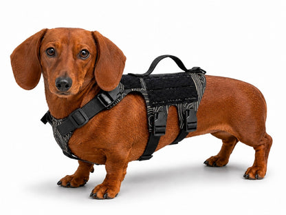 K9R - D5 MOLLE Light Harness