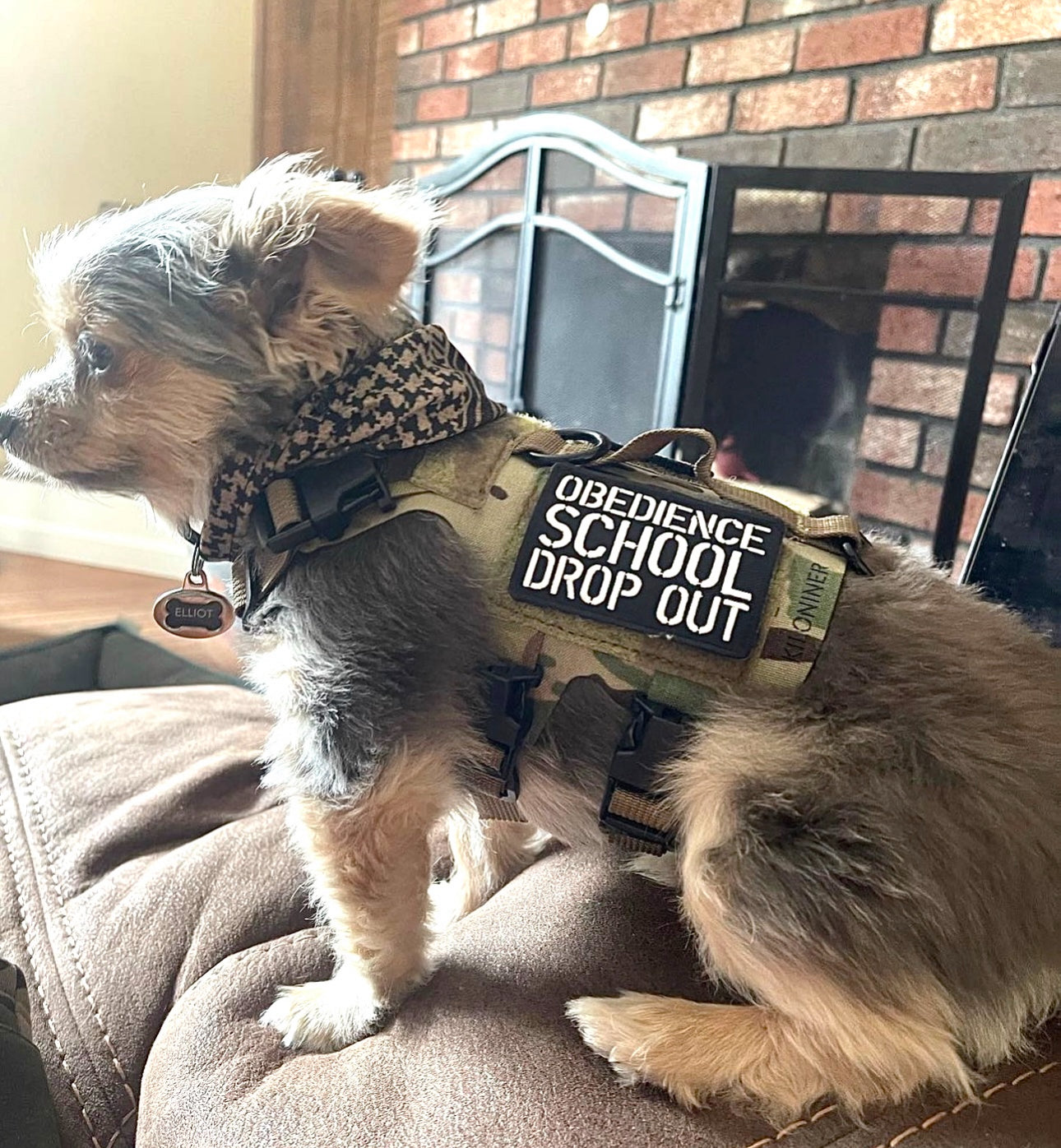DROP OUT Morale Patch