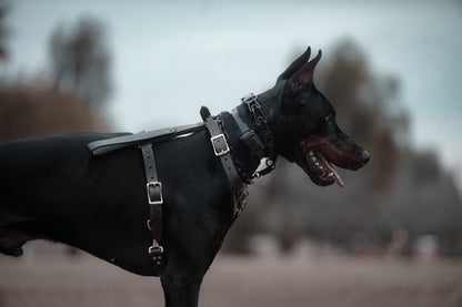 SKÖLLHATI DARK LEATHER AGITATION HARNESS