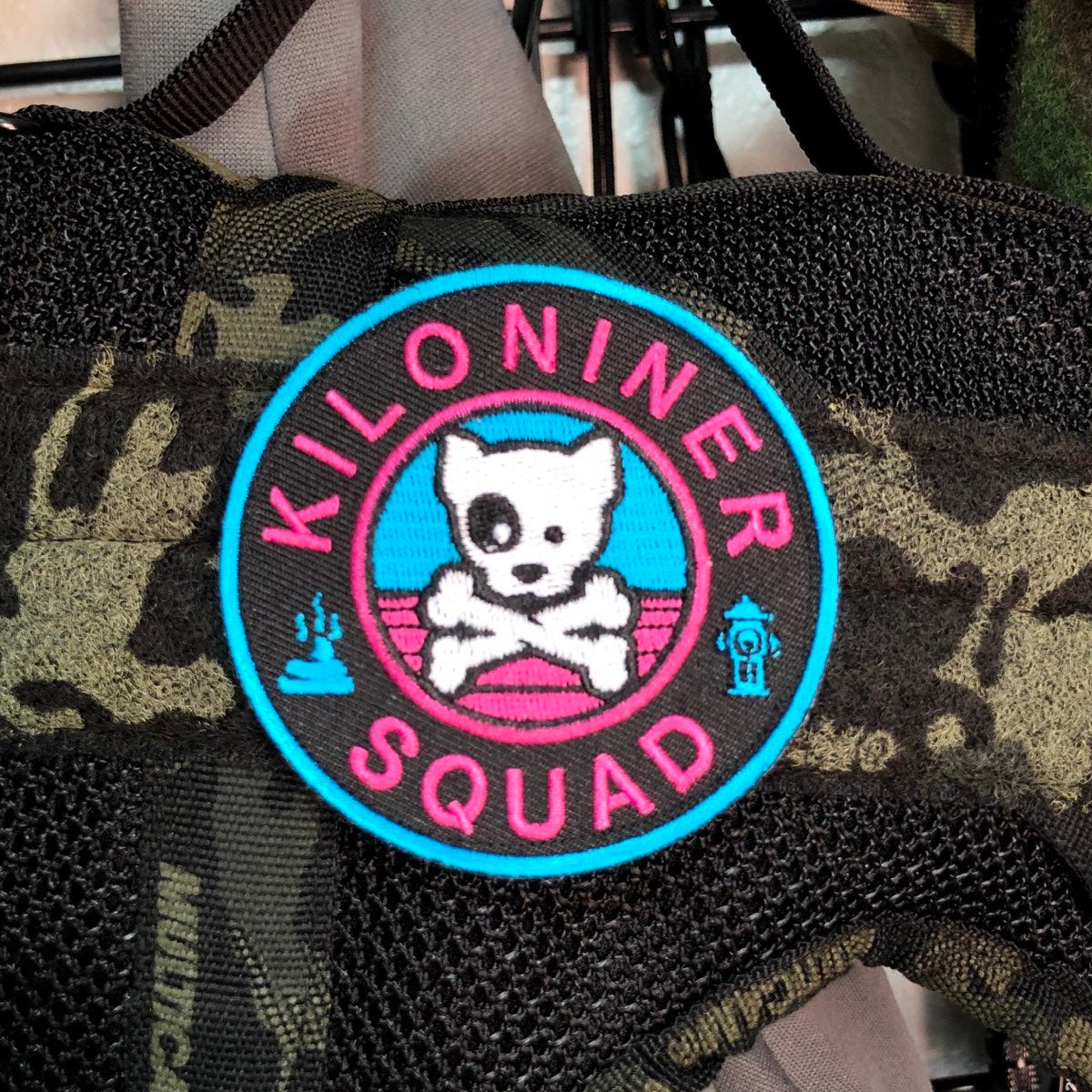 DOG & CROSSBONES PT Morale Patch