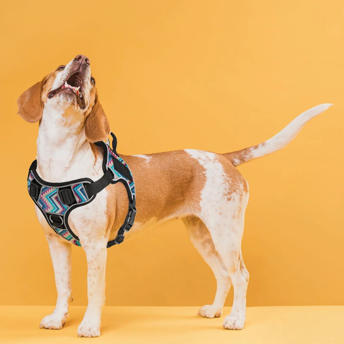 Dogline Quest Multi-Purpose No Pull Dog Harness