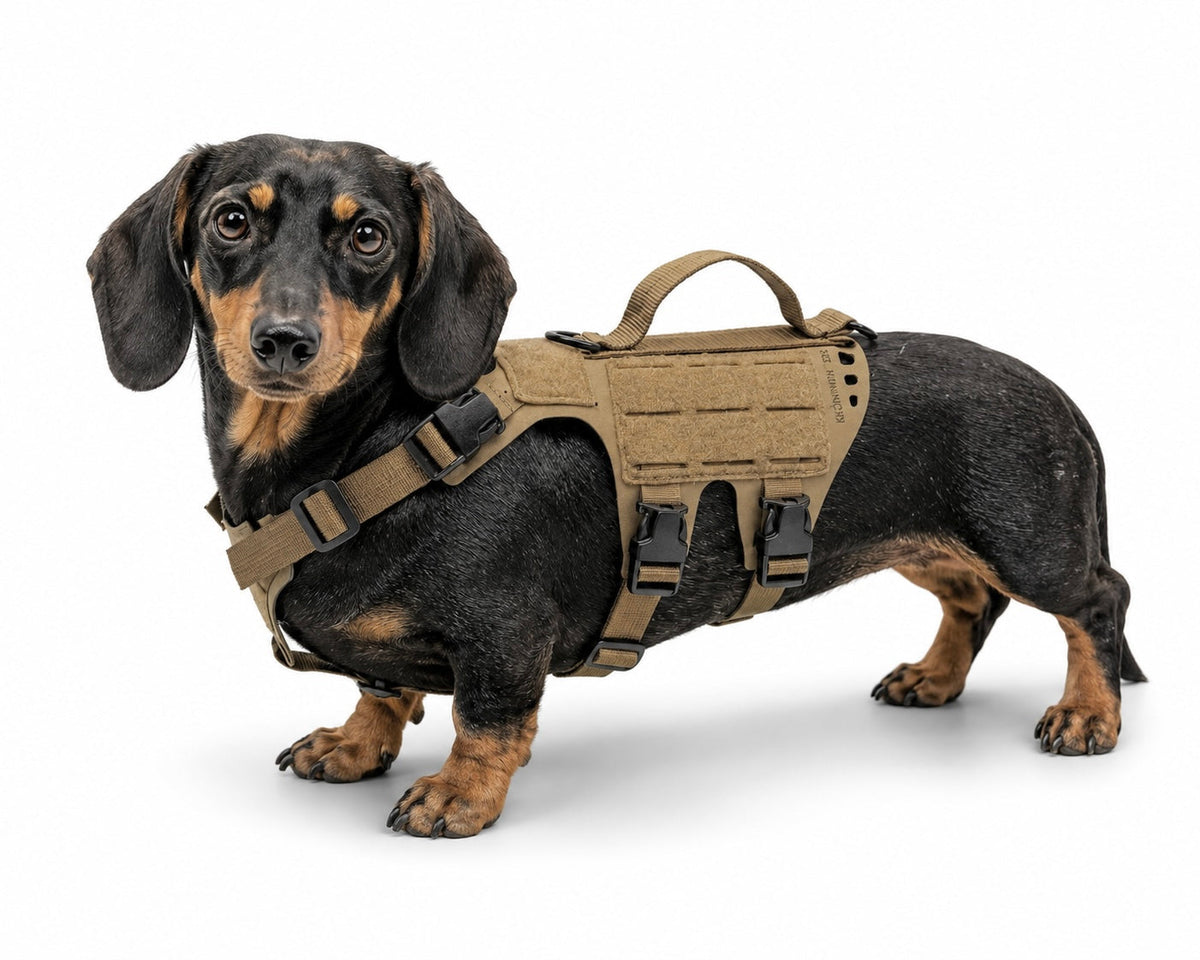 K9R - D5 MOLLE Light Harness
