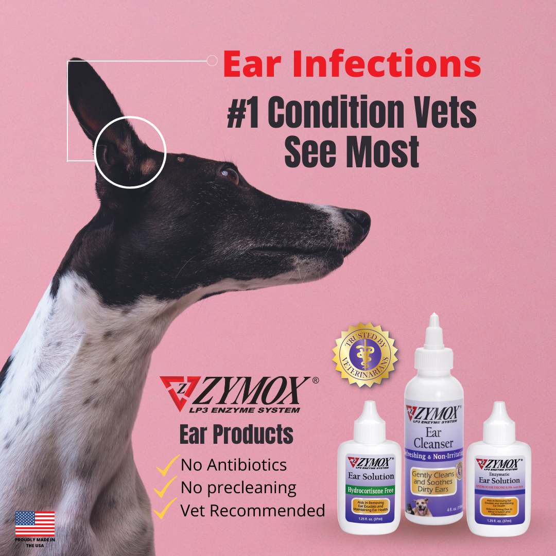 ZYMOX Enzymatic Ear Solution with 0.5% Hydrocortisone