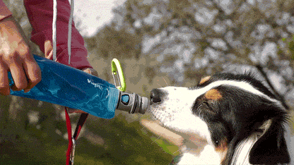 K9 Sport Sack Vapur® EZ Lick™ Portable Dog Water Bottle