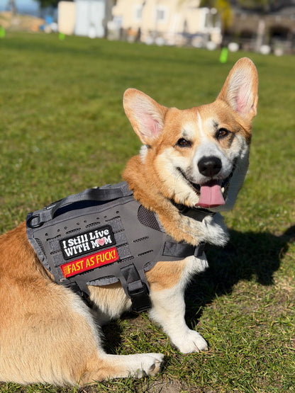 I Still Live with Mom Morale Patch