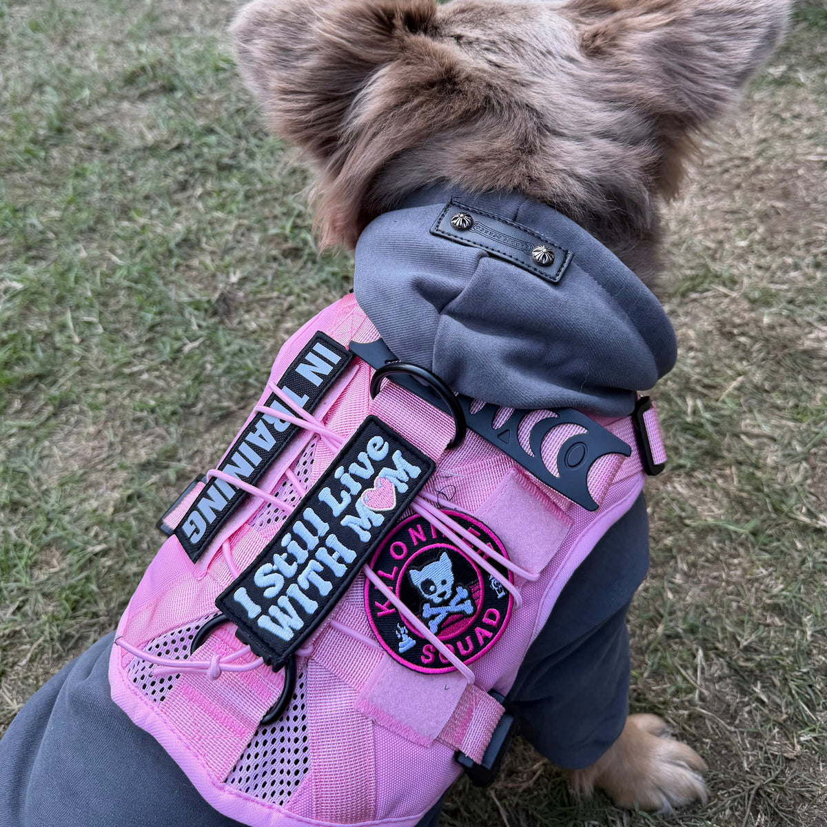 I Still Live with Mom Morale Patch