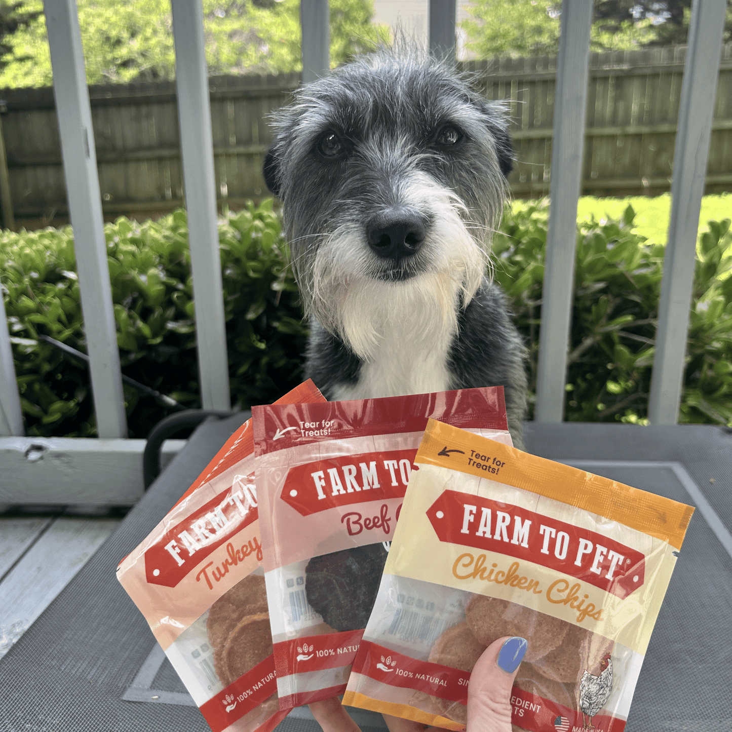 Farm to Pet Chicken, Turkey, & Beef Snack Pack Trio