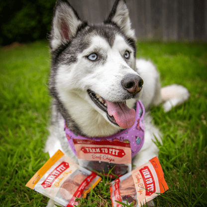 Farm to Pet Chicken, Turkey, & Beef Snack Pack Trio