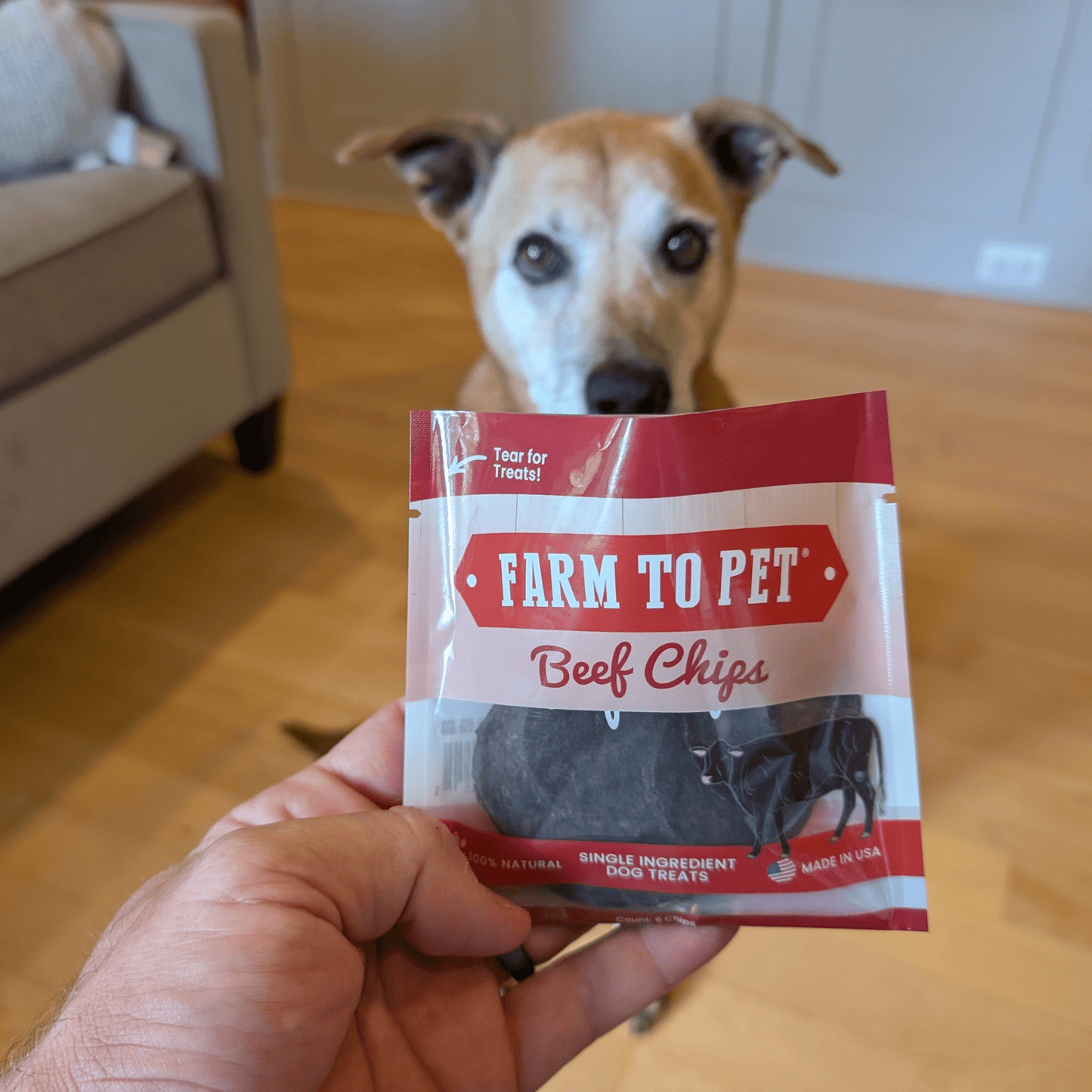 Farm to Pet Beef Chip Snack Pack Bundles