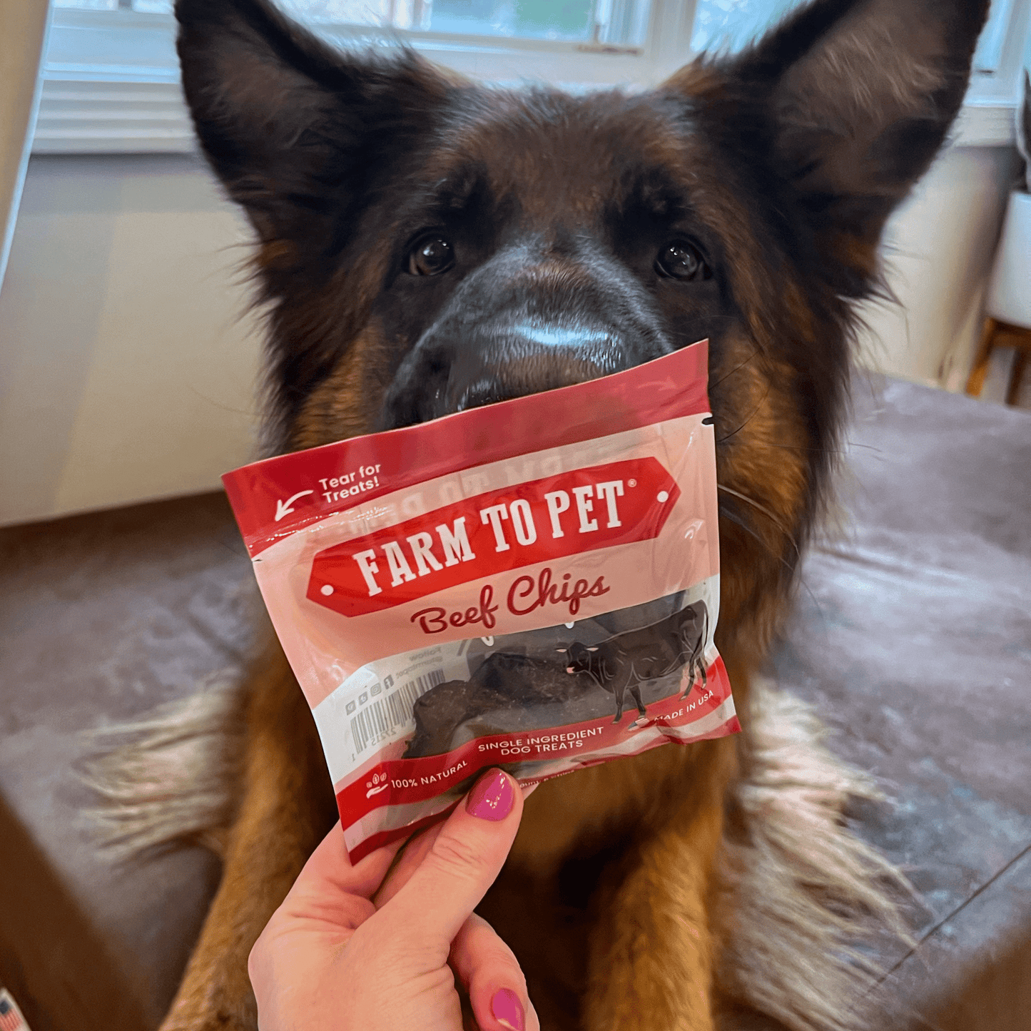 Farm to Pet Puppy Packs 'N Snacks Dog Treat Starter