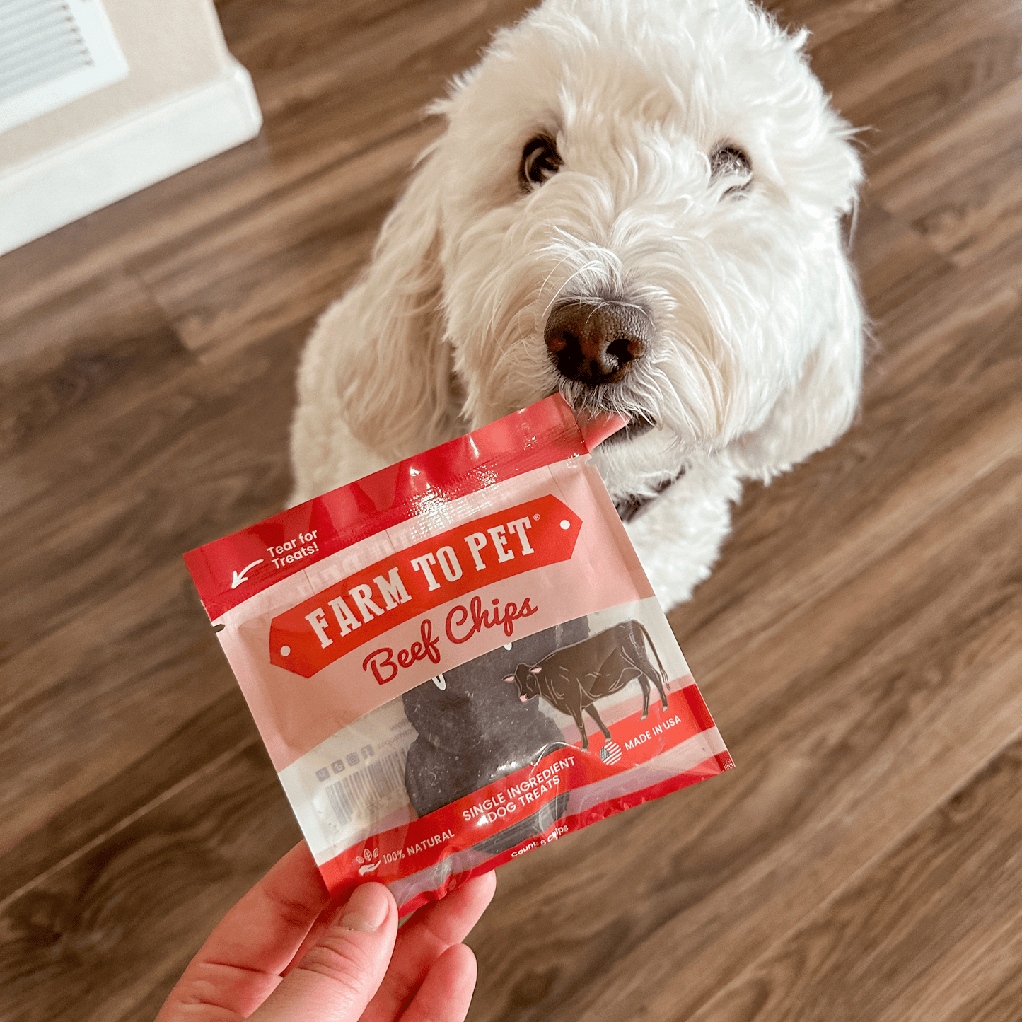 Farm to Pet Beef Chip Snack Pack Bundles