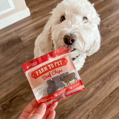 Farm to Pet Beef Chip Snack Pack Bundles