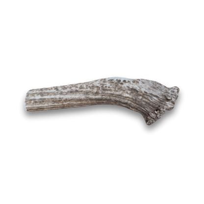 Farm to Pet Split Elk Antlers for Dogs