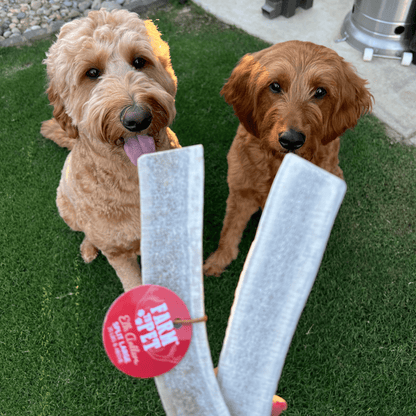 Farm to Pet Split Elk Antlers for Dogs