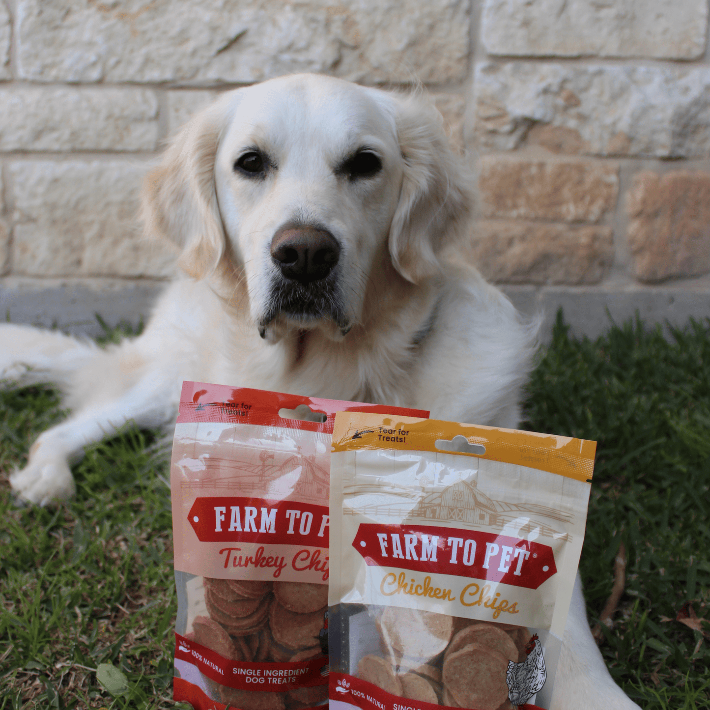 Farm to Pet Chicken & Turkey Dog Treat Bundles