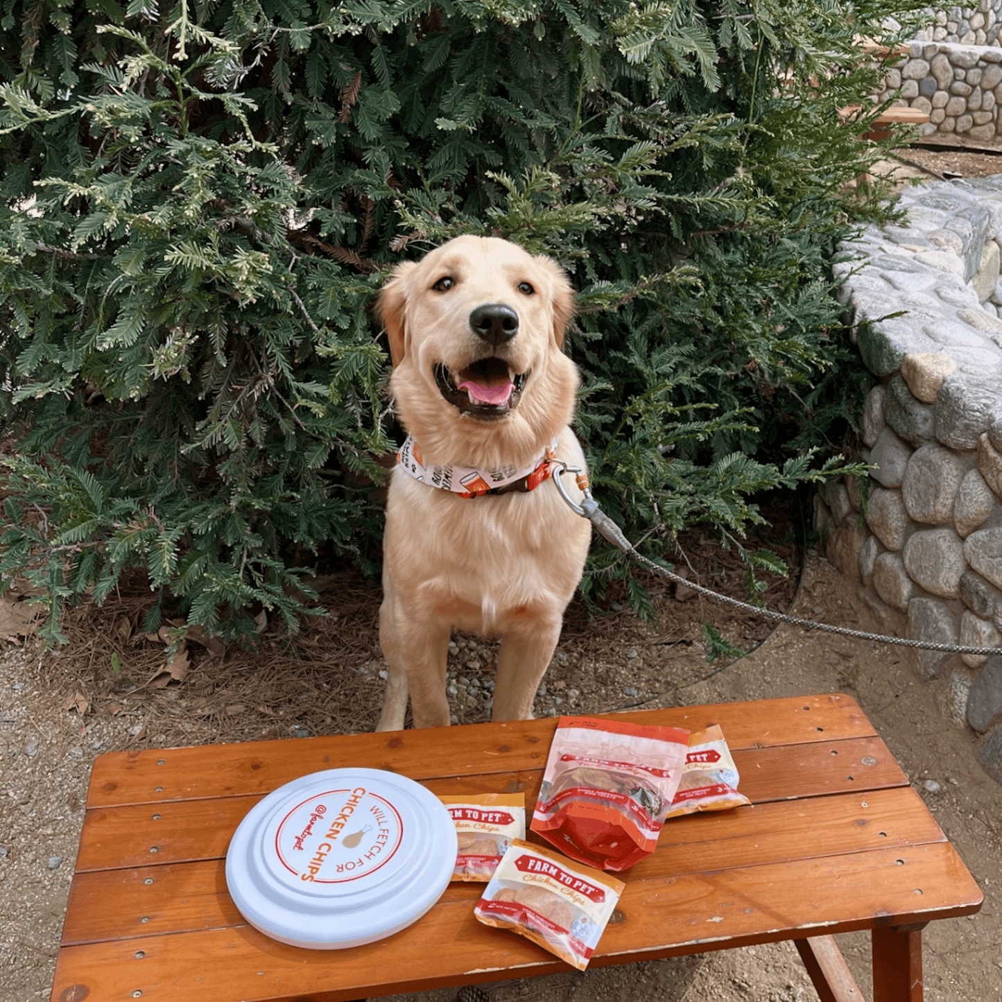 Farm to Pet Will Fetch for Chicken Chips Dog Frisbee