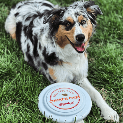 Farm to Pet Will Fetch for Chicken Chips Dog Frisbee