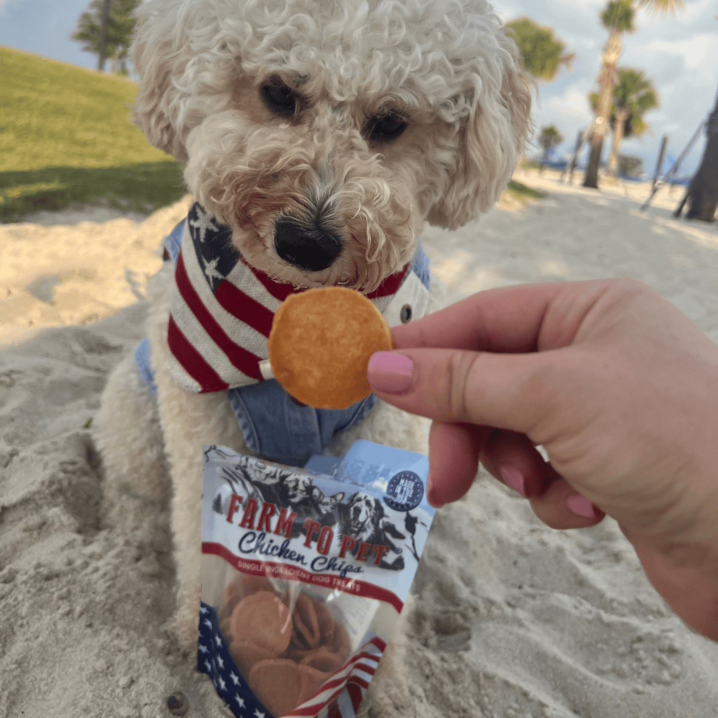 Farm to Pet Americana Chicken Chips for Dogs