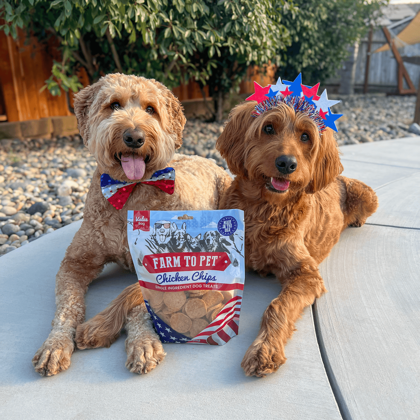 Farm to Pet Americana Chicken Chips for Dogs