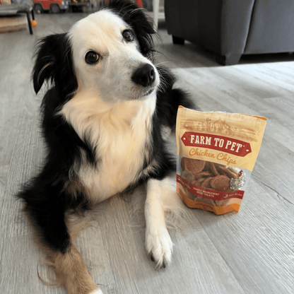 Farm to Pet Chicken Chips for Dogs