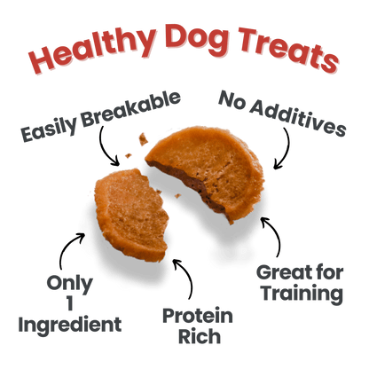 Farm to Pet Puppy Packs 'N Snacks Dog Treat Starter