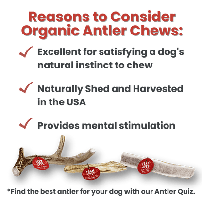 Farm to Pet Split Reindeer Antlers for Dogs