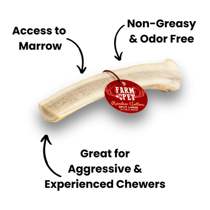 Farm to Pet Split Reindeer Antlers for Dogs