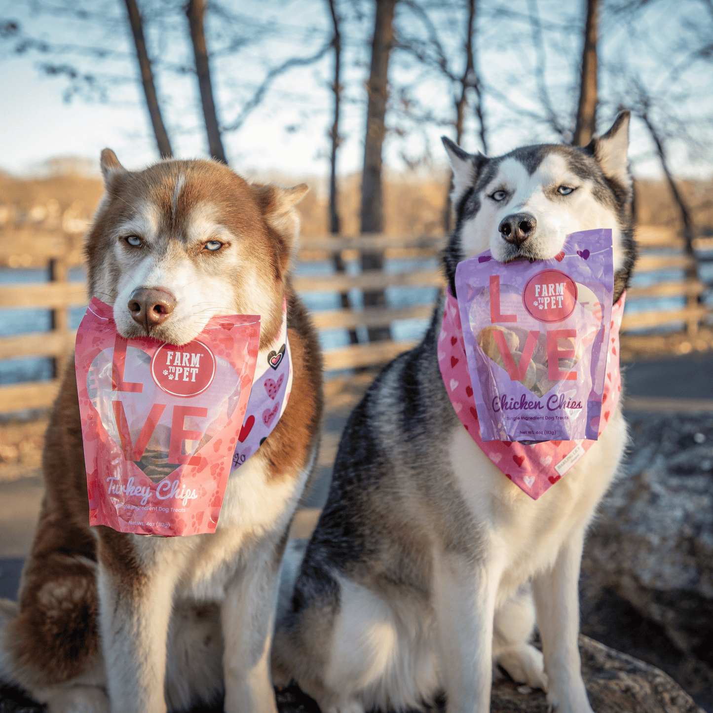 Farm to Pet Doggy LOVE Chips Bundle