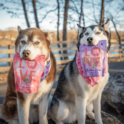 Farm to Pet Doggy LOVE Chips Bundle