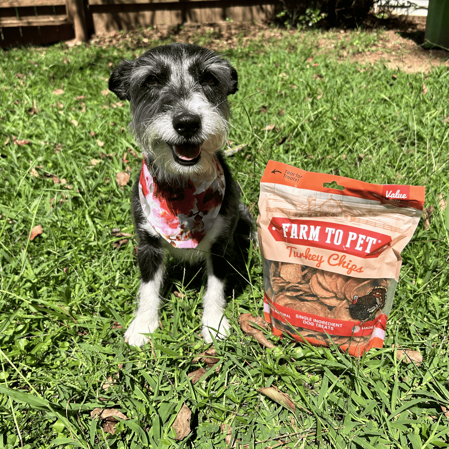 Farm to Pet Turkey Chips for Dogs