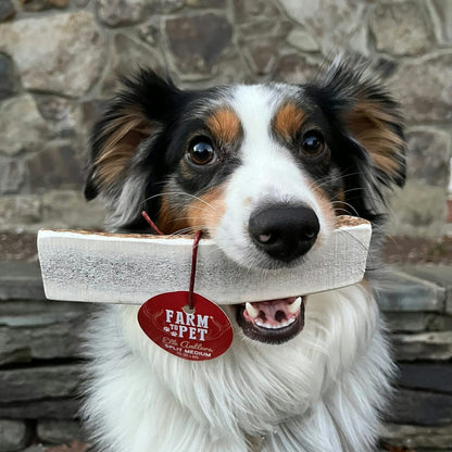 Farm to Pet Split Elk Antlers for Dogs