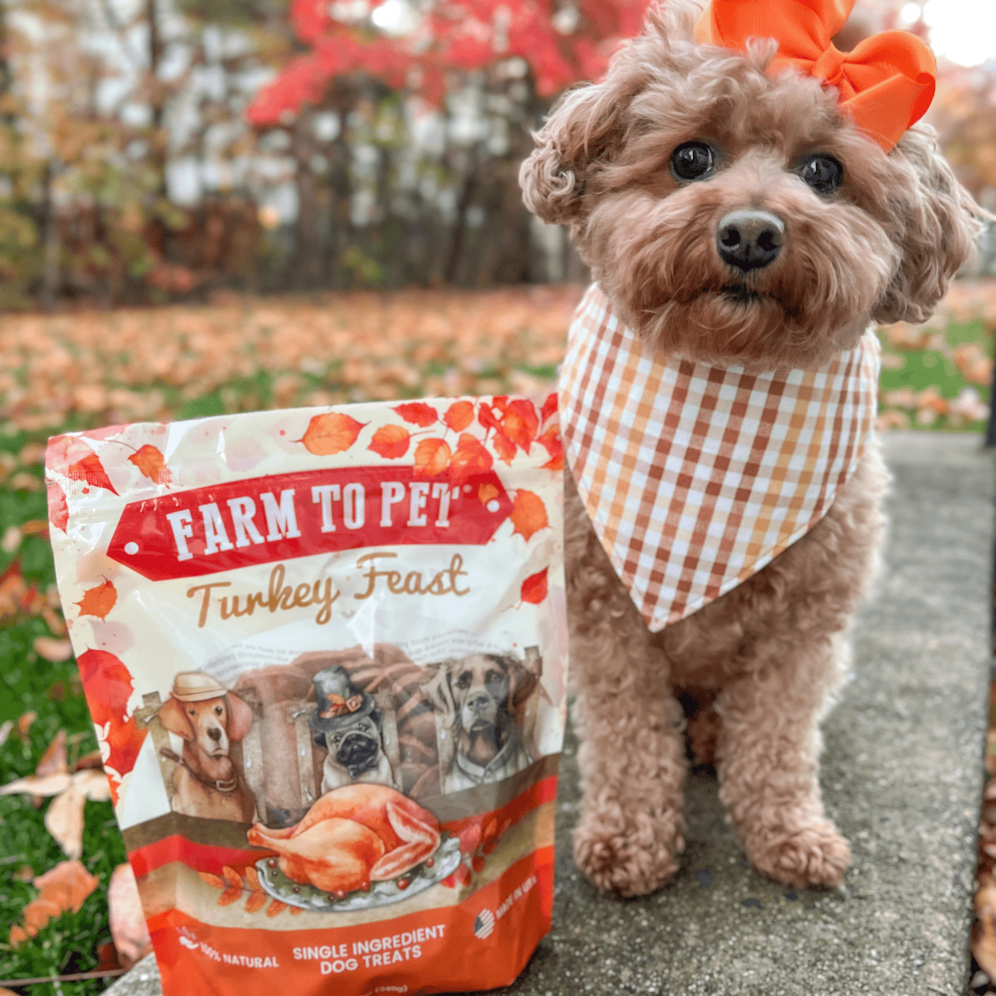 Farm to Pet Turkey Feast Chips
