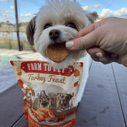 Farm to Pet Turkey Feast Chips