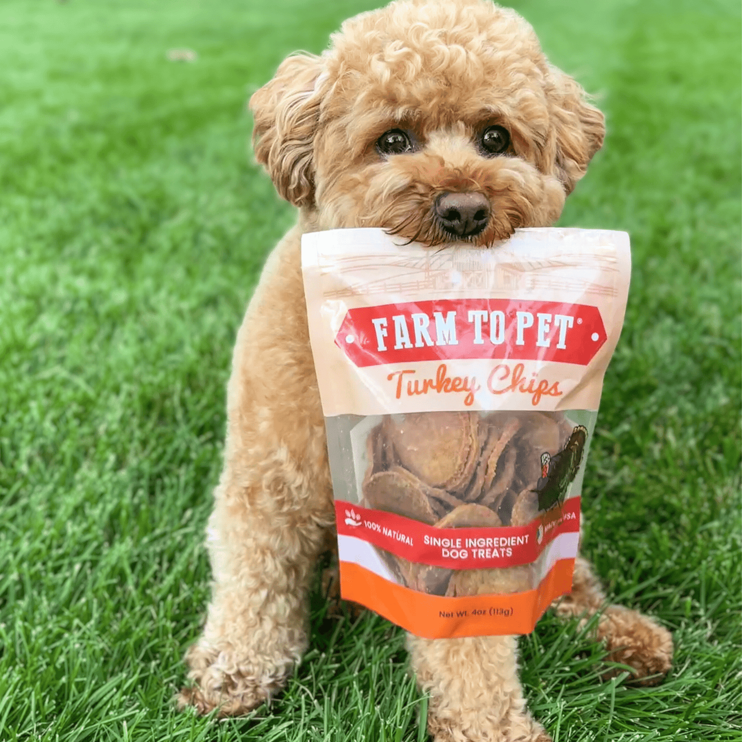 Farm to Pet Turkey Chips for Dogs