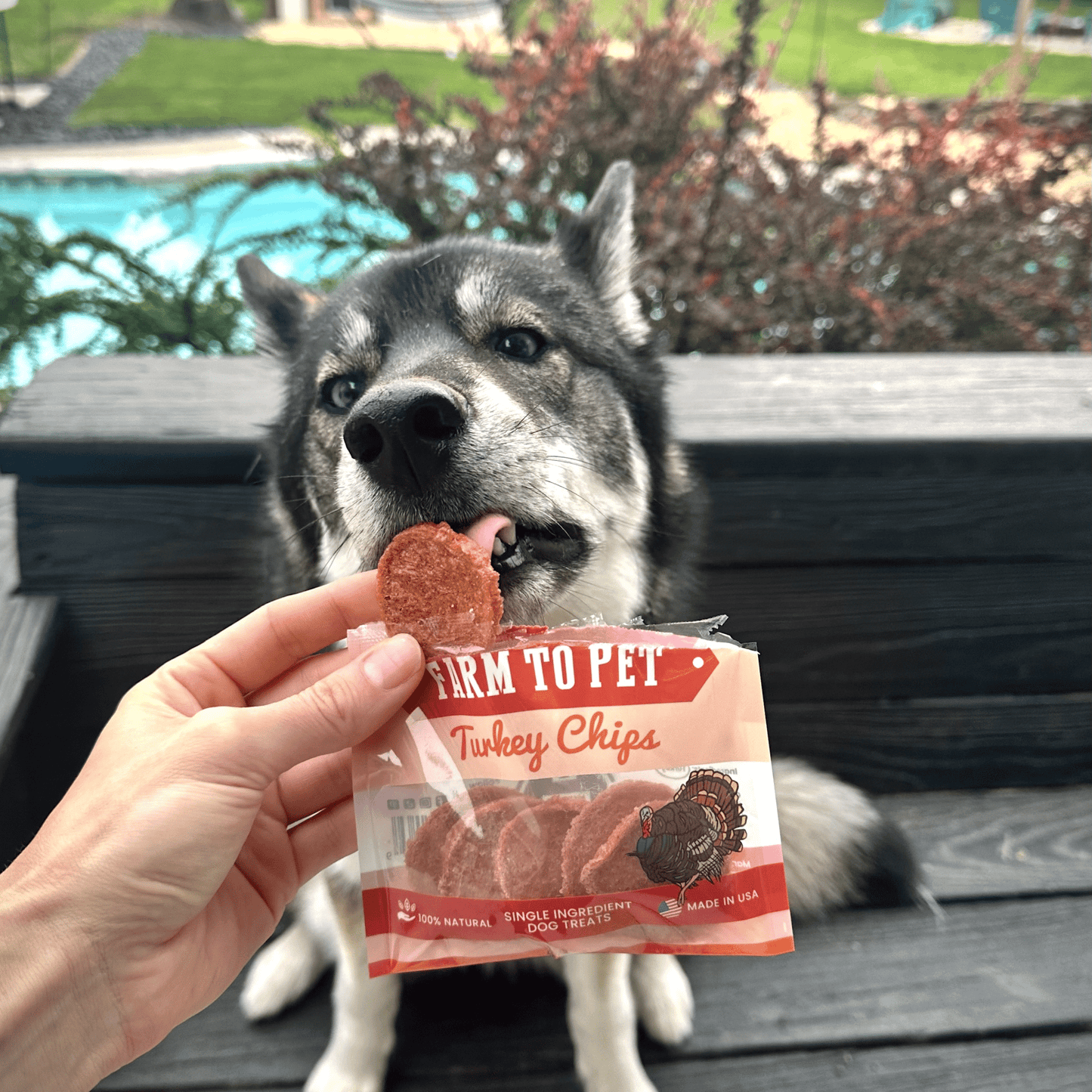 Farm to Pet Turkey Chip Snack Pack Bundles
