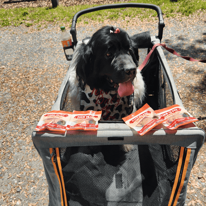 Farm to Pet Turkey Chip Snack Pack Bundles