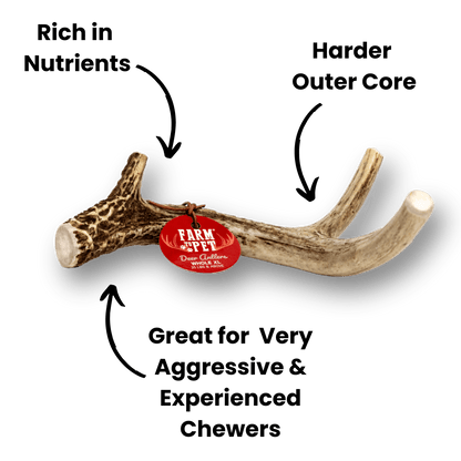 Farm to Pet Deer Antlers for Dogs