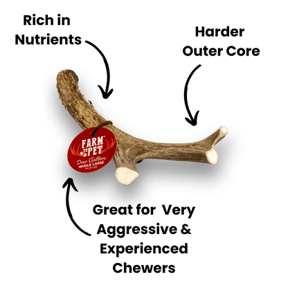 Farm to Pet Deer Antlers for Dogs