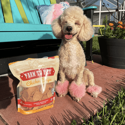 Farm to Pet Chicken Chips for Dogs