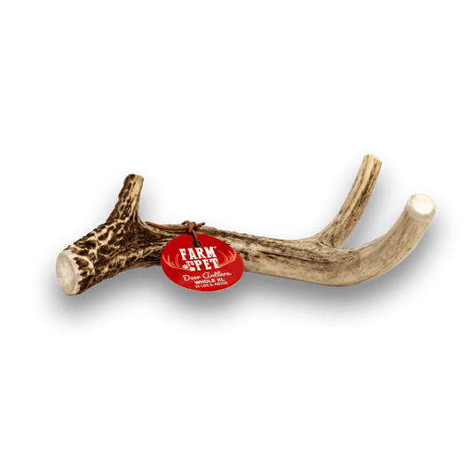 Farm to Pet Deer Antlers for Dogs