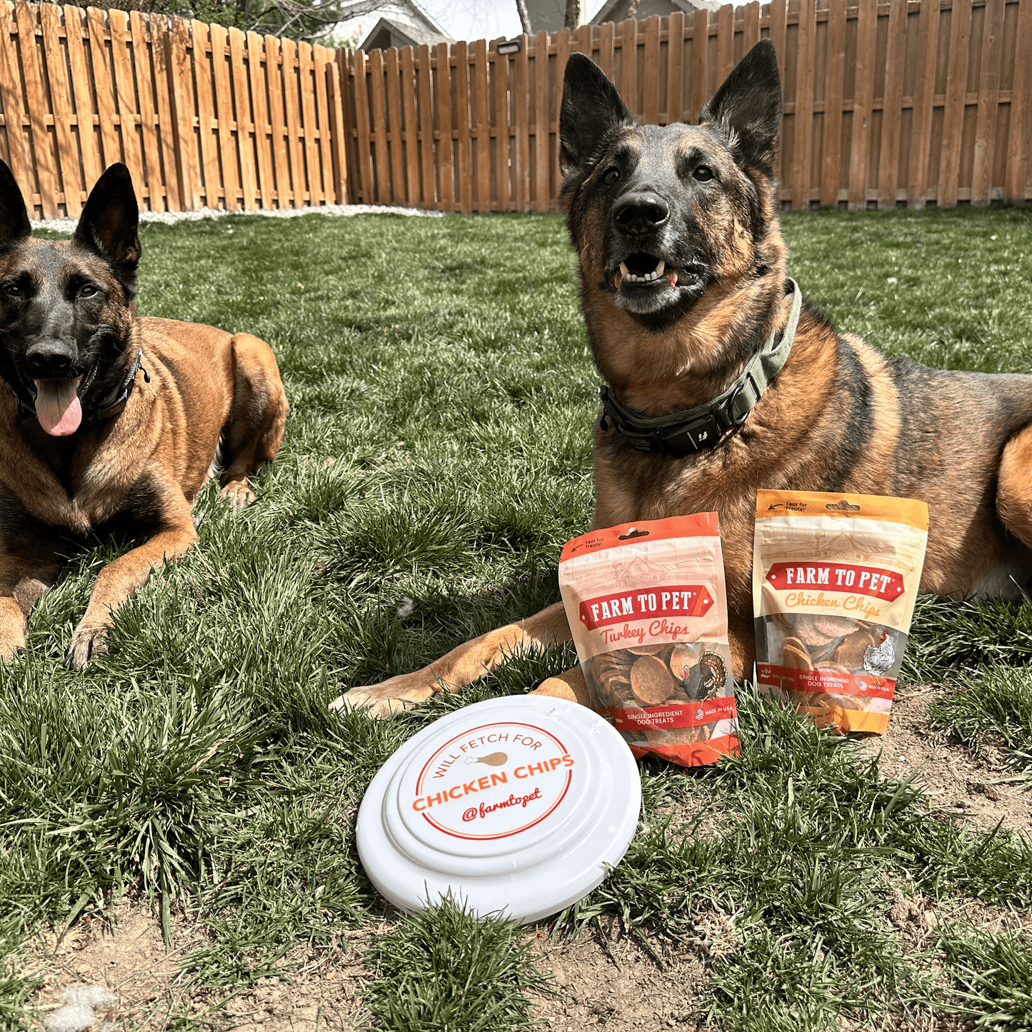 Farm to Pet Chicken & Turkey Dog Treat Bundles