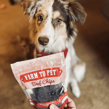 Farm to Pet Puppy Packs 'N Snacks Dog Treat Starter