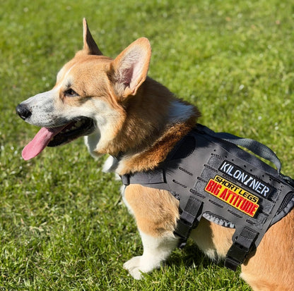 Short Legs Big Attitude Morale Patch
